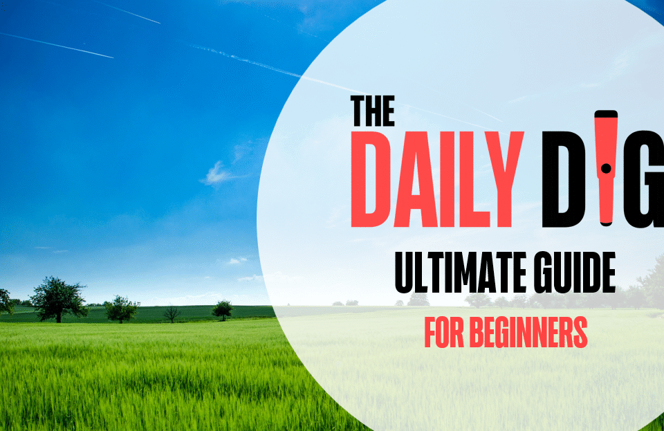 ULTIMATE GUIDE: The Daily Dig’s Beginner’s Guide To Metal Detecting In The UK