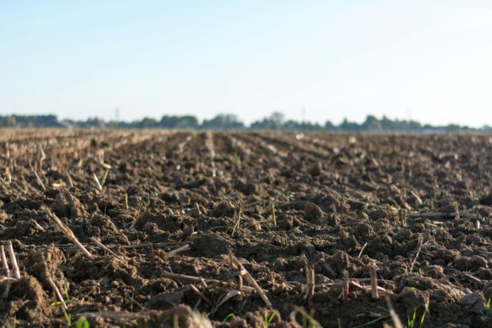 Plough, Seed, Graze, Repeat: Understanding Farming Cycles As A Detectorist