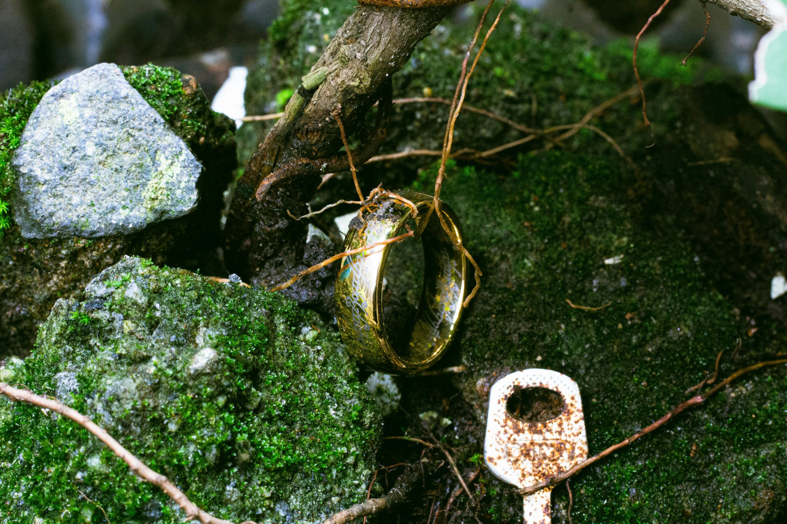 The Day Everything Changed: Detectorists’ Genuine Life-Changing Finds