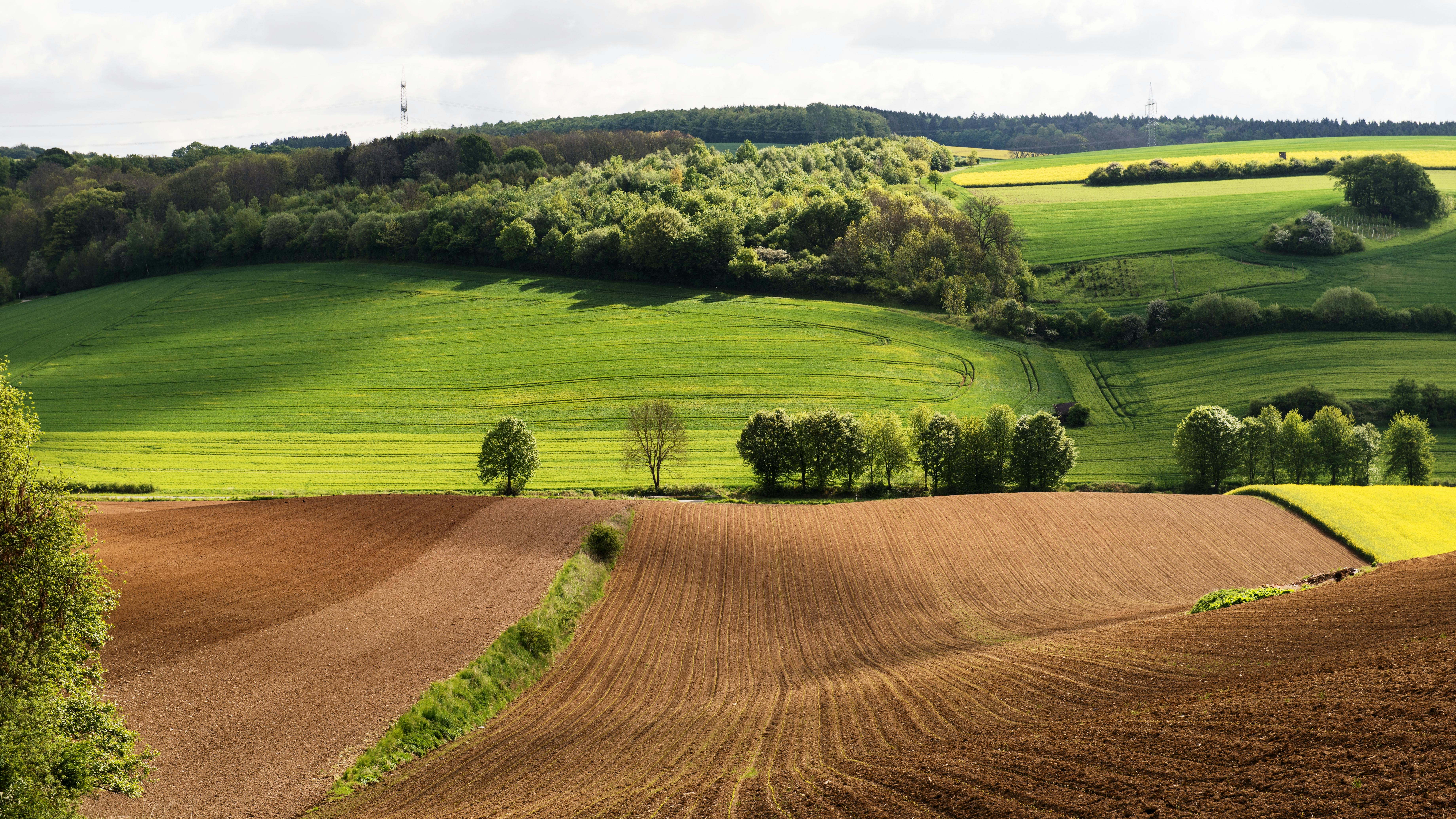 The Health Hoard: Why Every Swing of the Coil Is Better Than the Gym