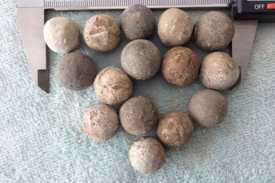 The Great Musket Ball Appreciation Society